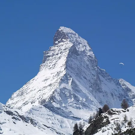Swissflair