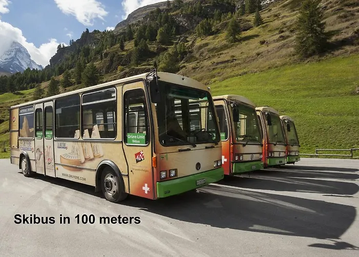 Apartment Swissflair