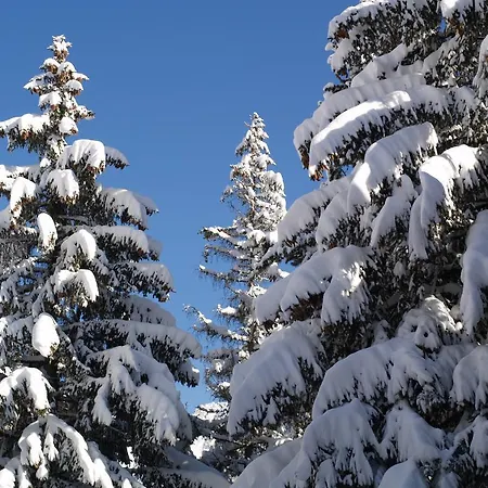 Swissflair Zermatt